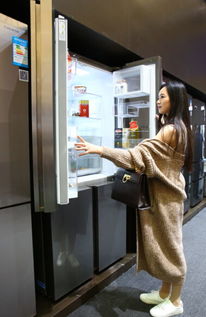 高端家電逆勢(shì)增長(zhǎng) 供需失衡下的市場(chǎng)突圍與軟件開(kāi)發(fā)賦能